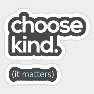 Choose Kind, Kindness Matters Sticker